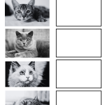 Rita djur – Paket - bild 2