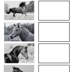 Rita djur – Paket - bild 4