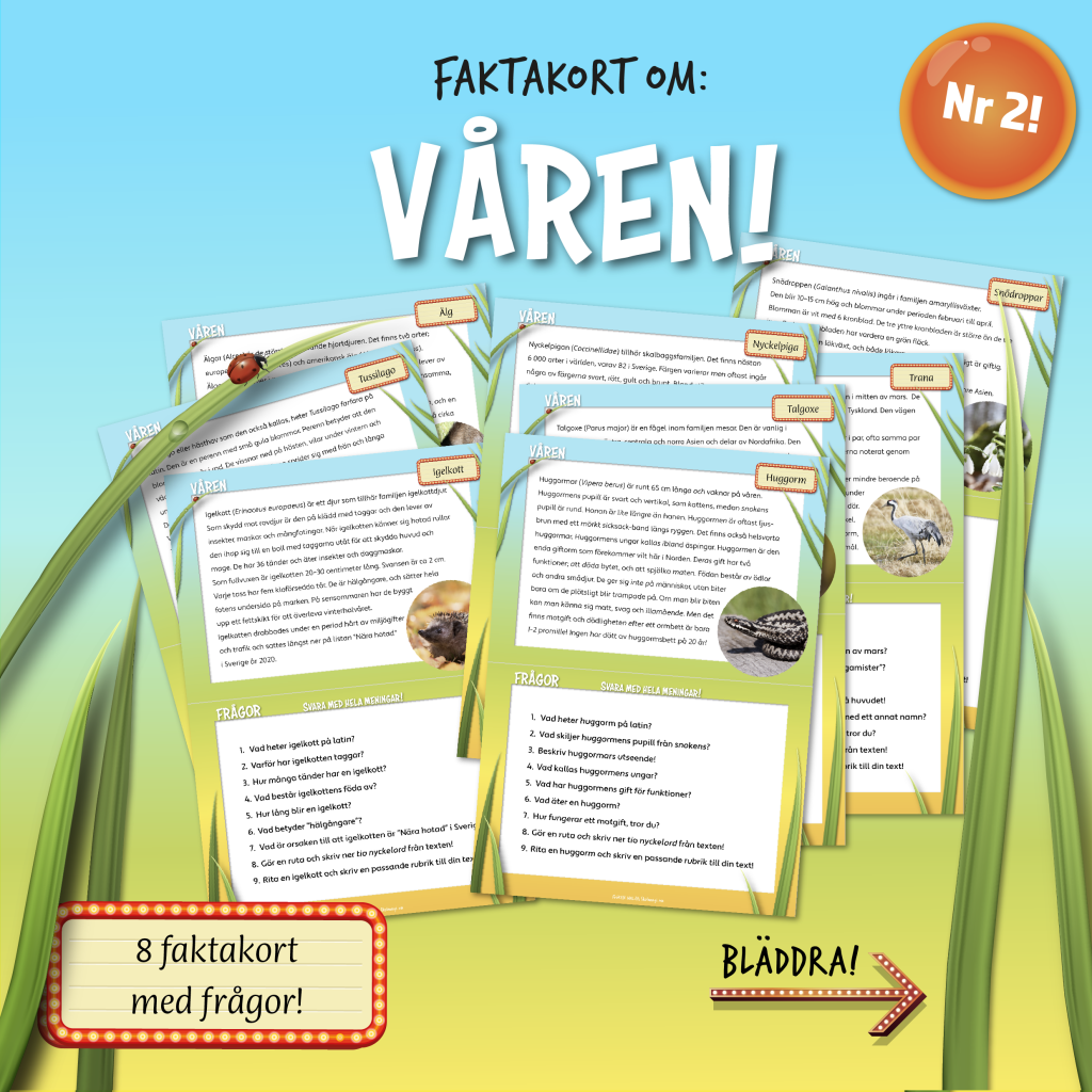 Faktakort: Läsförståelse om Våren Nr 2!