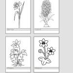 Vårblommor. Målarbilder - bild 4