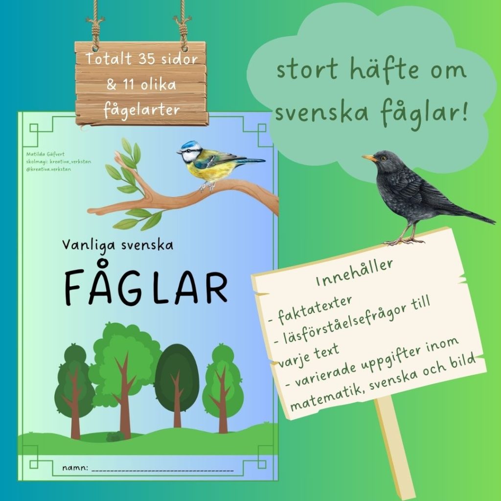 Vanliga svenska fåglar – stort häfte i NO & läsförståelse med tillhörande blandade uppgifter!