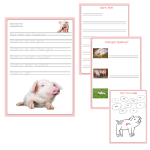 Jag läser och skriver 4 - bild 1