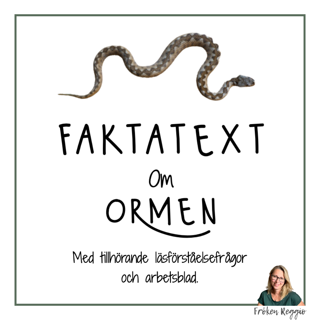 Faktatext om Ormen