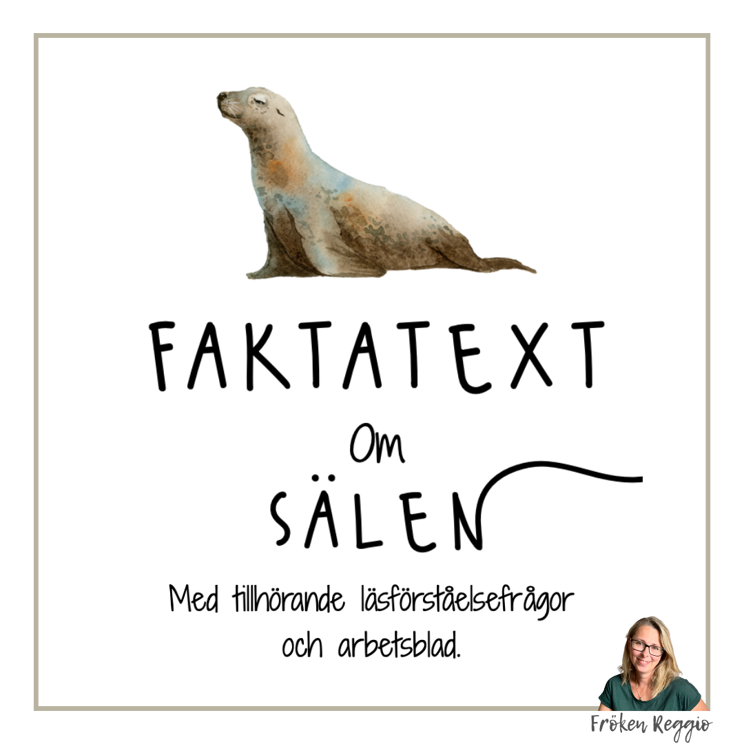 Faktatext om Sälen