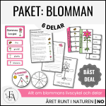 Materialpaket: Blommans livscykel och delar - bild 1