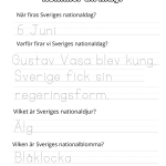 Sveriges Nationaldag - bild 6