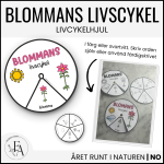 Blommans livscykel (snurra / hjul) - bild 1
