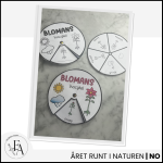 Blommans livscykel (snurra / hjul) - bild 2