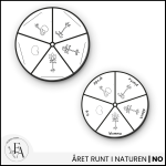 Blommans livscykel (snurra / hjul) - bild 3