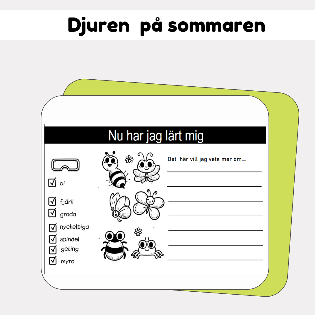 Vad gör djuren på sommaren?