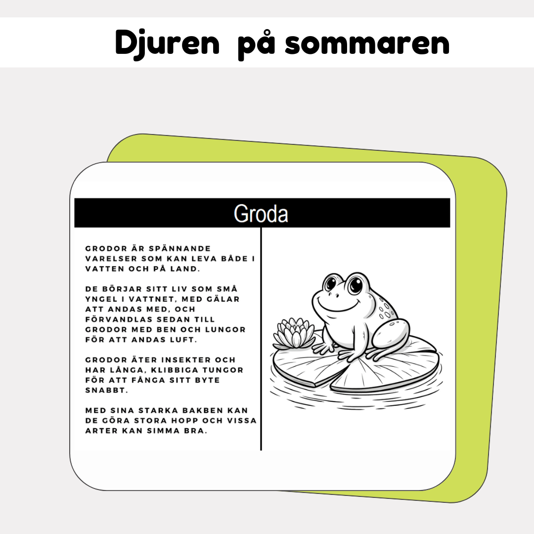 Vad gör djuren på sommaren?