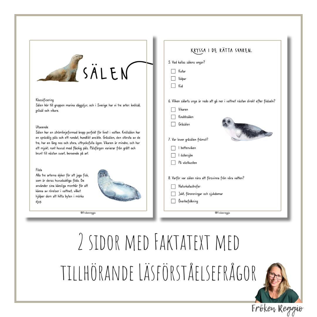 Faktatext om Sälen