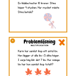Problemlösning multiplikation (tabeller 2-10). - bild 3