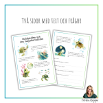 Sköldpaddan och den magiska bubblan - bild 2