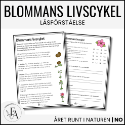 Materialpaket: Blommans livscykel och delar
