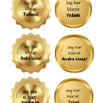 Medaljer 1-6 - bild 4