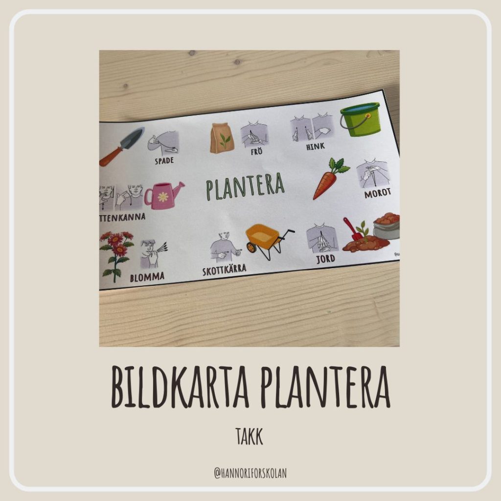 Bildkarta plantera