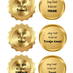 Medaljer 1-6 - bild 5