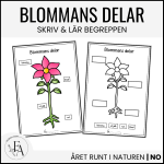 Materialpaket: Blommans livscykel och delar - bild 3