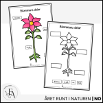 Skriv och fyll i – blommans delar - bild 2