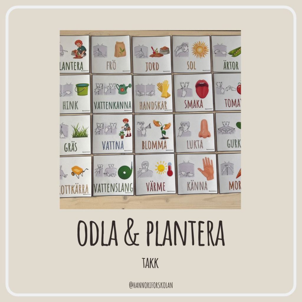 TAKK odla & plantera