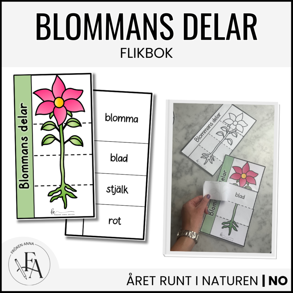 Flikbok – blommans delar
