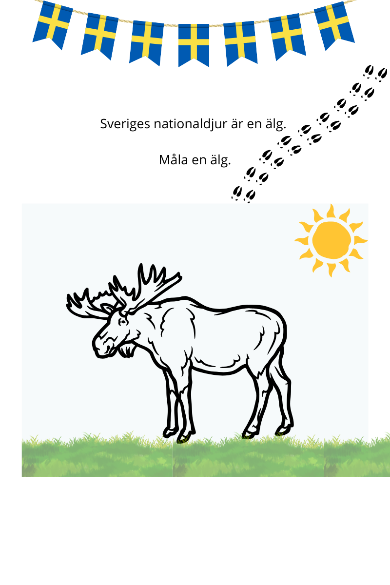 Sveriges Nationaldag