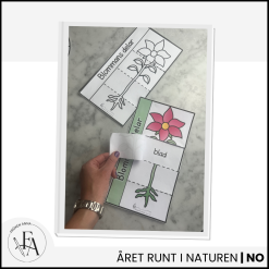 Flikbok - blommans delar