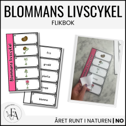 Flikbok - blommans livscykel