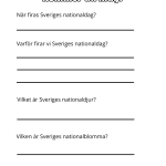 Sveriges Nationaldag - bild 5