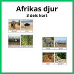 Afrikas djur 3 del - bild 1