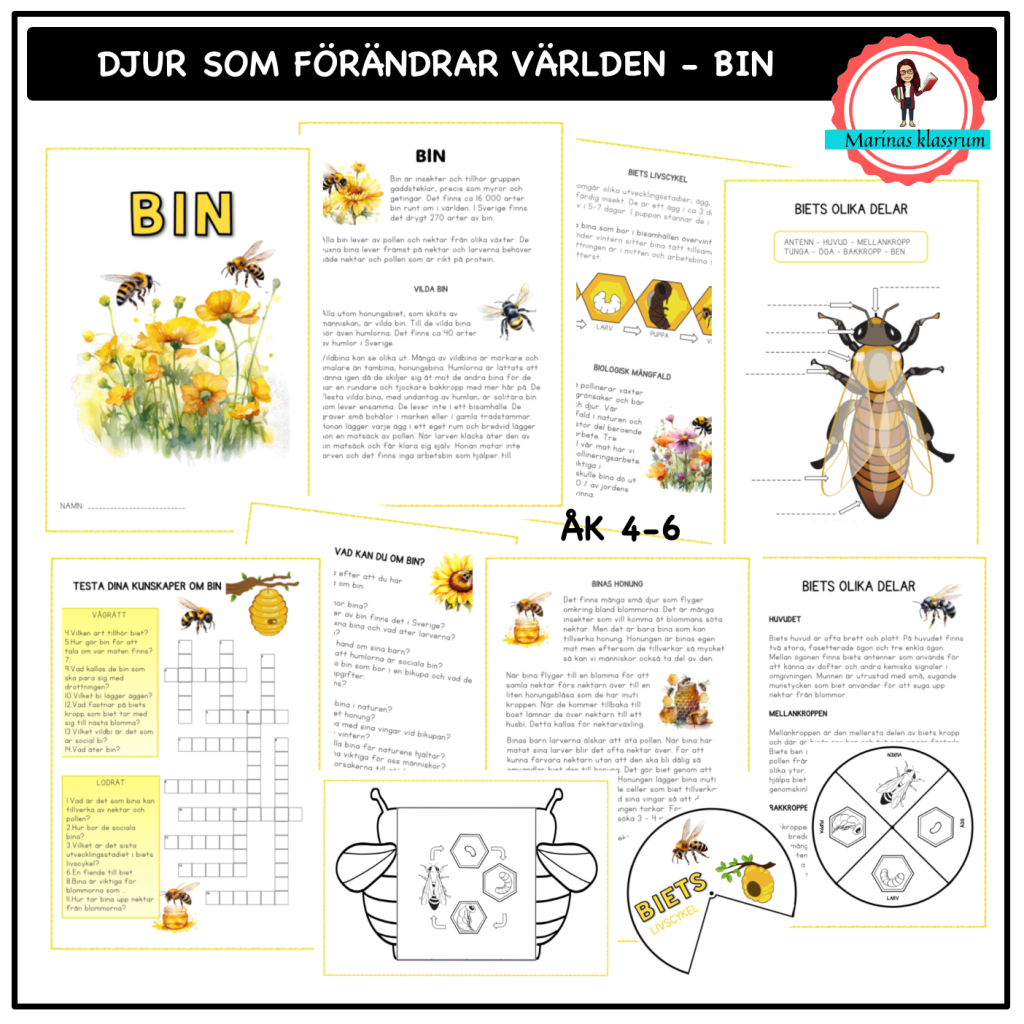 Om bin – åk 4-6 – djur som förändrar världen