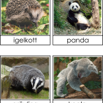 Nattdjur – dagdjur (nocturnal – diunal) - bild 2