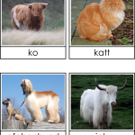 Långhåriga djur - bild 2