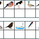 Para ihop fåglar - bild 5