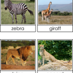 Afrikas djur 3 del - bild 2