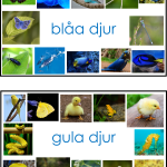 Sorteringskort till sortera djur materialen - bild 6