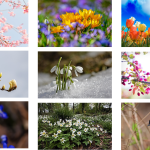 Pussel vår 6 bitar - bild 5