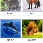 Ägg eller levande ungar - bild 2