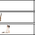 Katträkning - bild 2