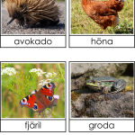 Ägg eller levande ungar - bild 3