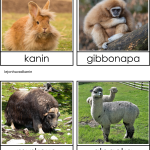 Långhåriga djur - bild 3