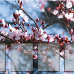 Sortera årstider - bild 3