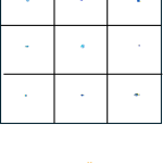 Förstoringsbilder fiskar - bild 3