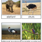 Afrikas djur 3 del - bild 3