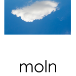 Läskort – natur - bild 2