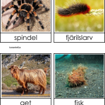 Långhåriga djur - bild 4