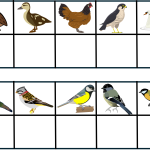 Para ihop fåglar - bild 3