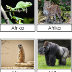 Afrikas djur 3 del - bild 4