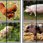 Bondgårdspussel 2 delar - bild 4